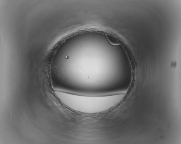 X0000112841496200908211228