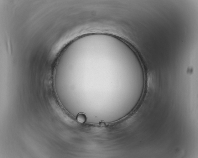 X0000112841498200908211228