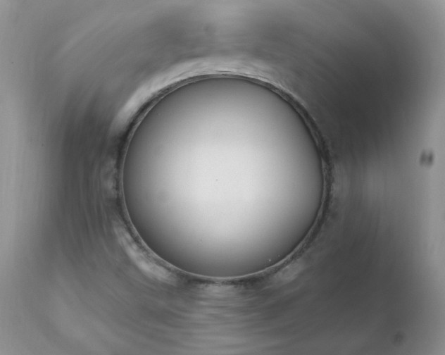 X0000112841499200908211228