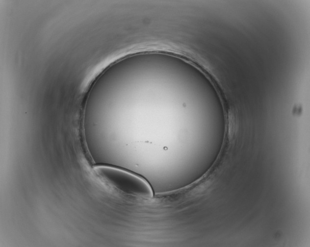 X0000112841500200908211228