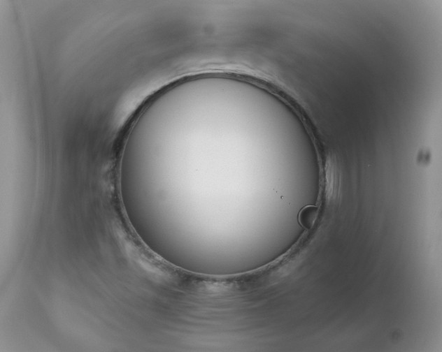 X0000112841501200908211228