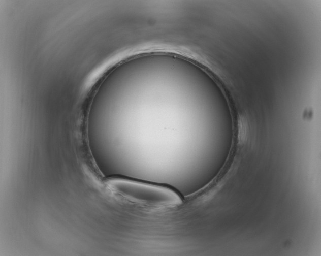 X0000112841502200908211228