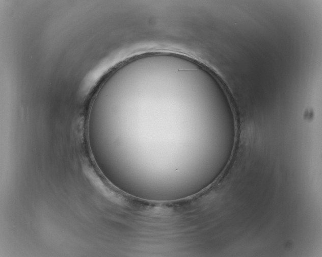 X0000112841503200908211228