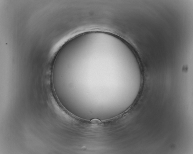 X0000112841504200908211228