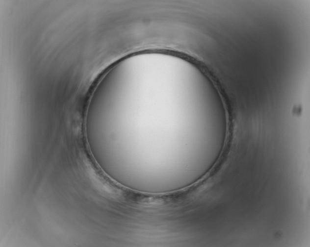 X0000112841505200908211228