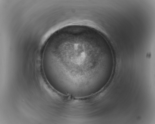 X0000112841506200908211228