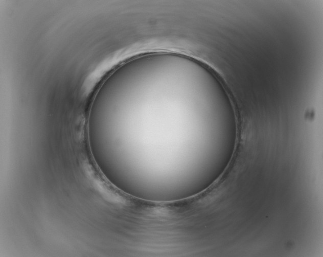 X0000112841507200908211228