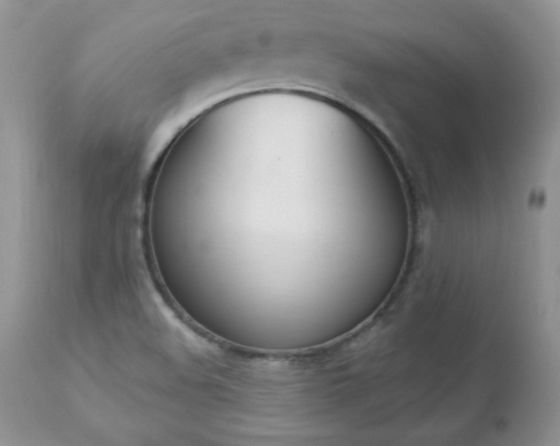 X0000112841508200908211228