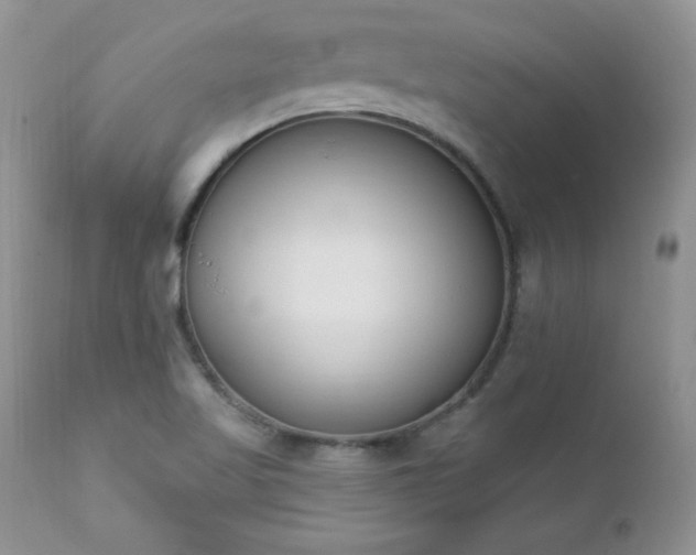 X0000112841509200908211228