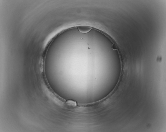 X0000112841510200908211228