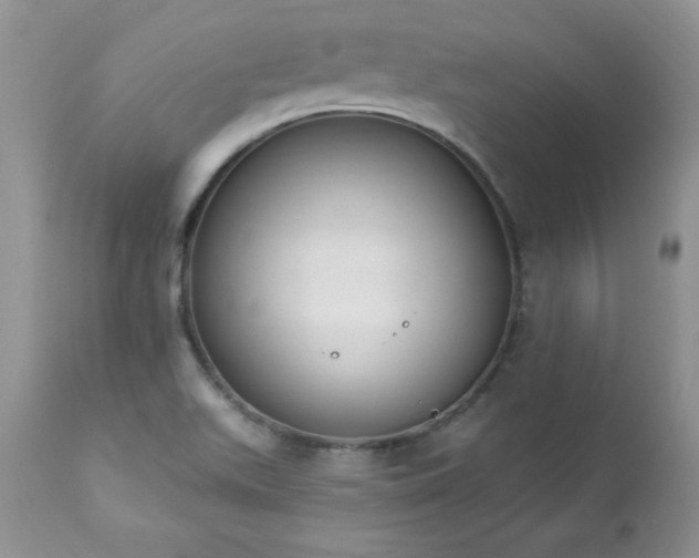 X0000112841511200908211228