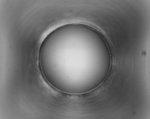 X0000112841512200908211228