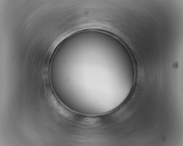 X0000112841513200908211228