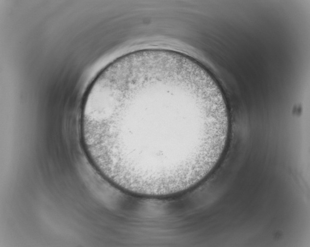 X0000112841514200908211228