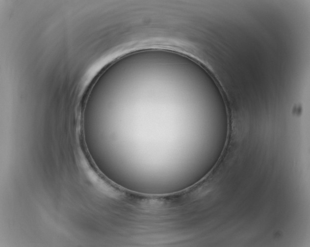 X0000112841515200908211228