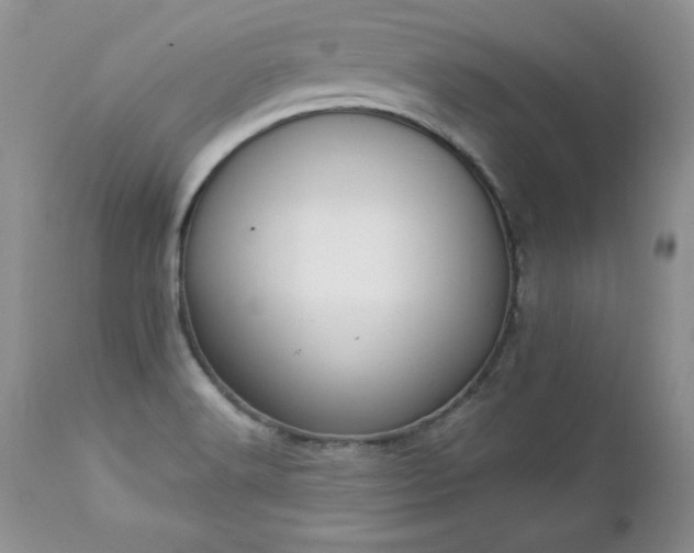 X0000112841516200908211228