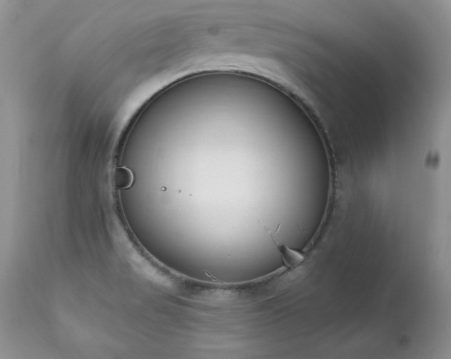 X0000112841517200908211229