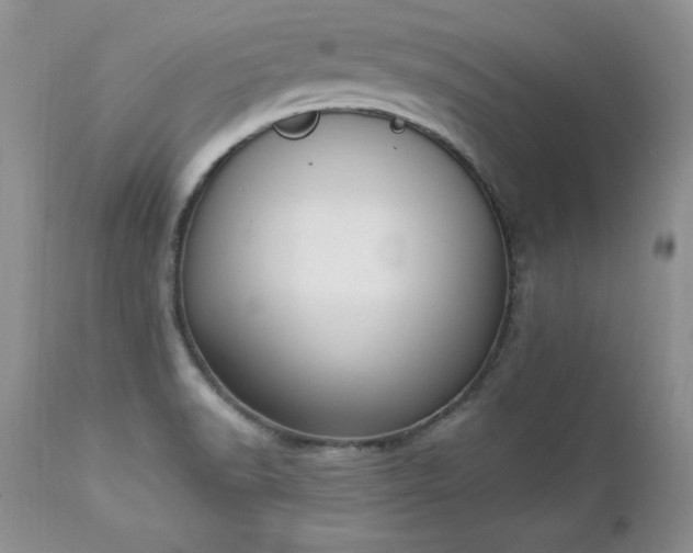 X0000112841518200908211229