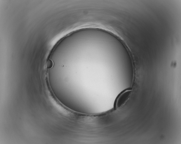 X0000112841519200908211229