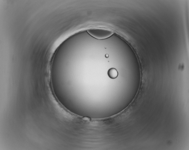 X0000112841520200908211229