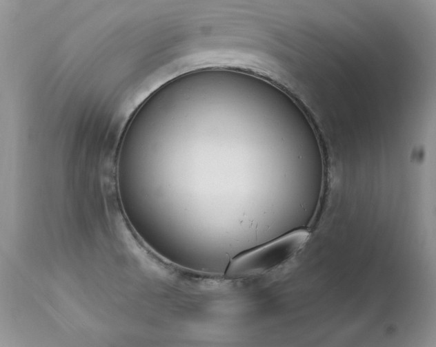 X0000112841521200908211229