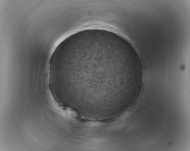 X0000112841522200908211229