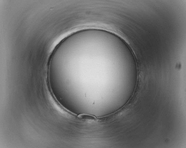 X0000112841523200908211229