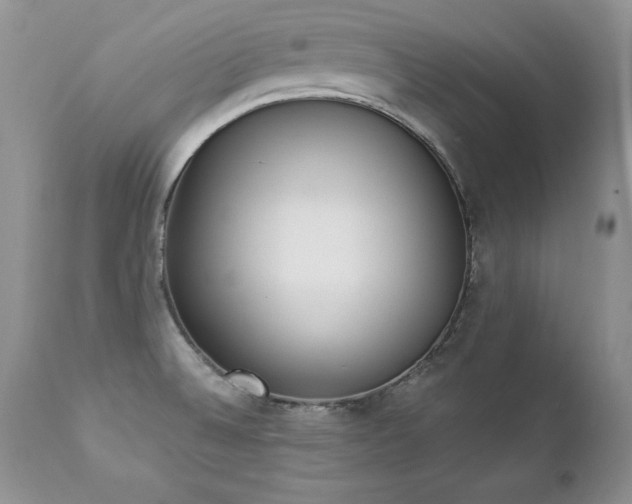 X0000112841524200908211229