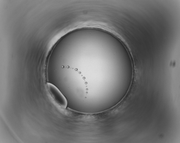 X0000112841525200908211229