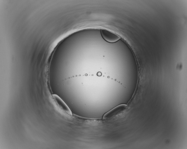 X0000112841526200908211229