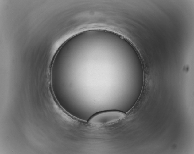 X0000112841527200908211229