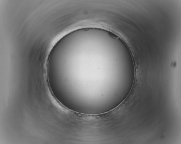 X0000112841528200908211229