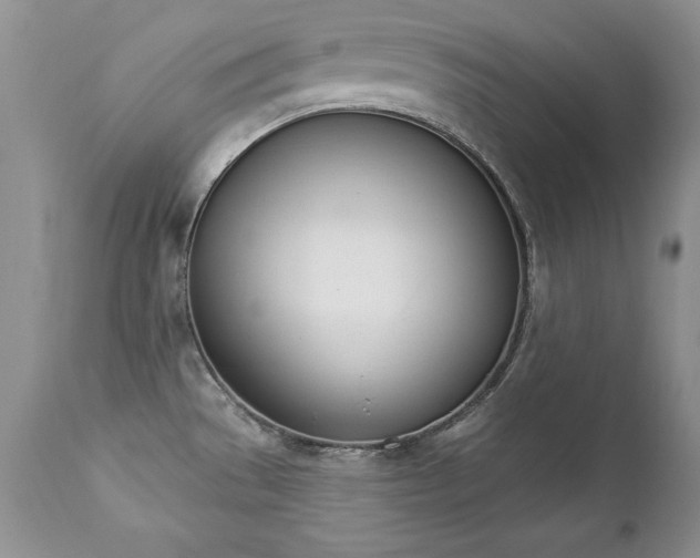 X0000112841529200908211229