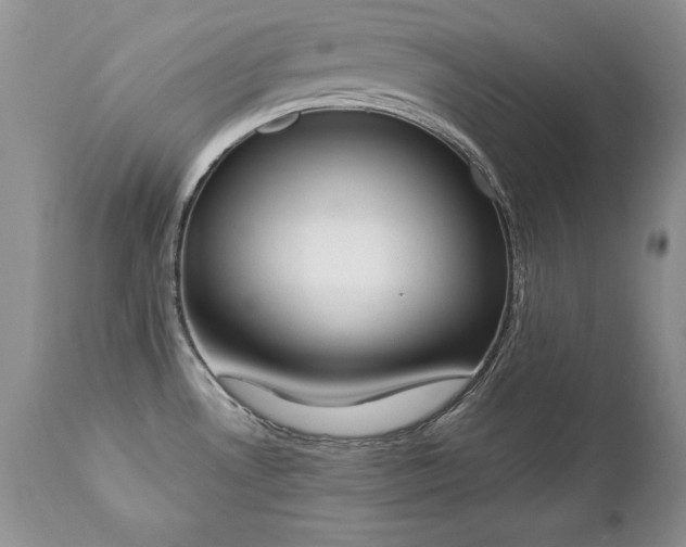 X0000112841530200908211229