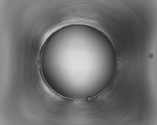 X0000112841531200908211229