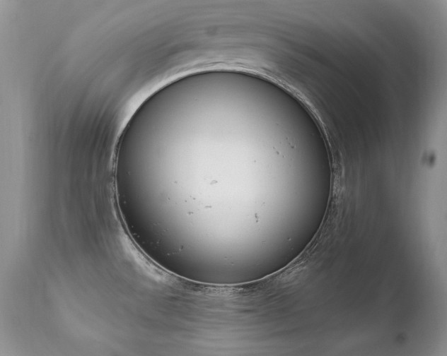 X0000112841532200908211229