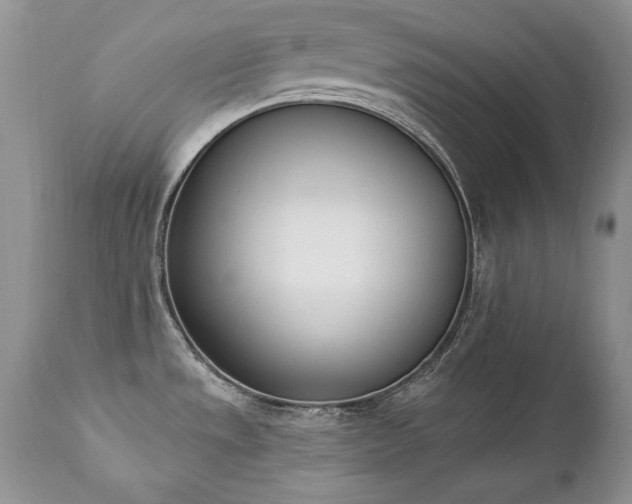 X0000112841533200908211229