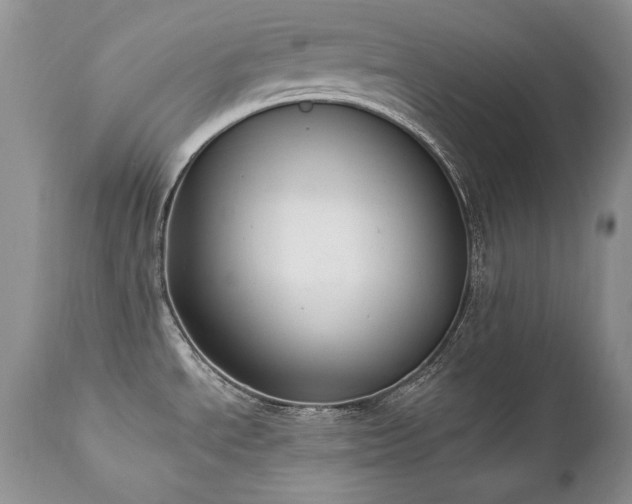 X0000112841534200908211229