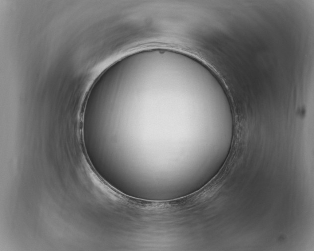 X0000112841535200908211229