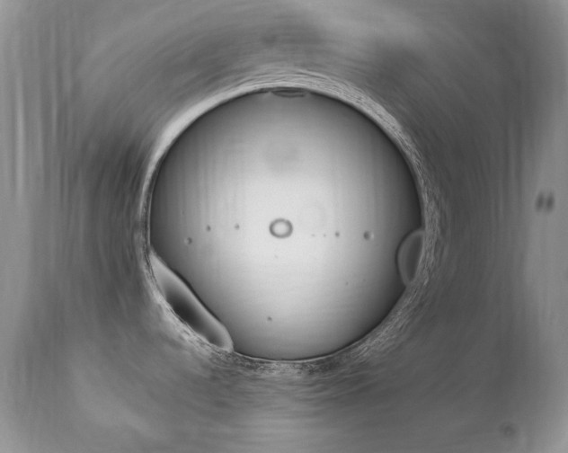 X0000112841536200908211229