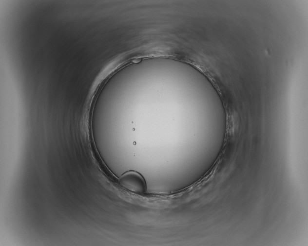 X0000112840004200908281601