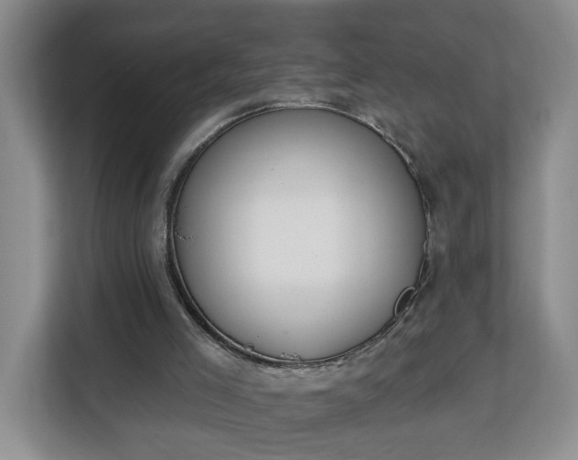 X0000112840005200908281601