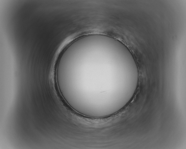 X0000112840006200908281601