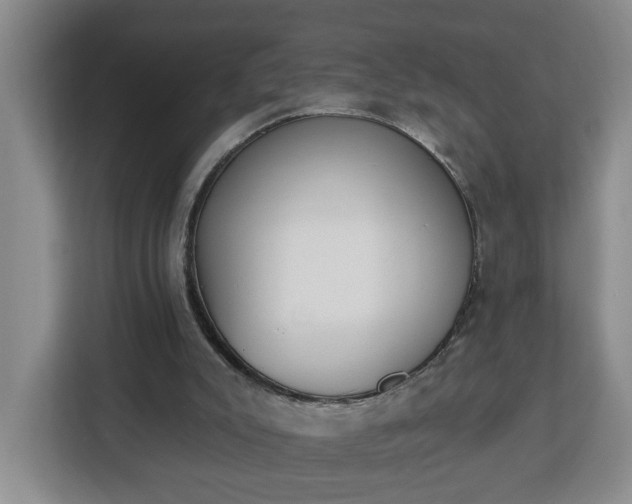 X0000112840007200908281601