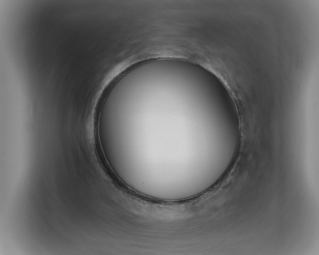 X0000112840008200908281601