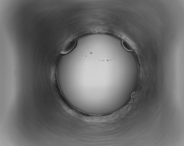 X0000112840009200908281601