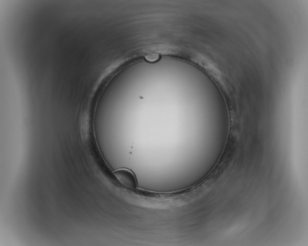 X0000112840012200908281601