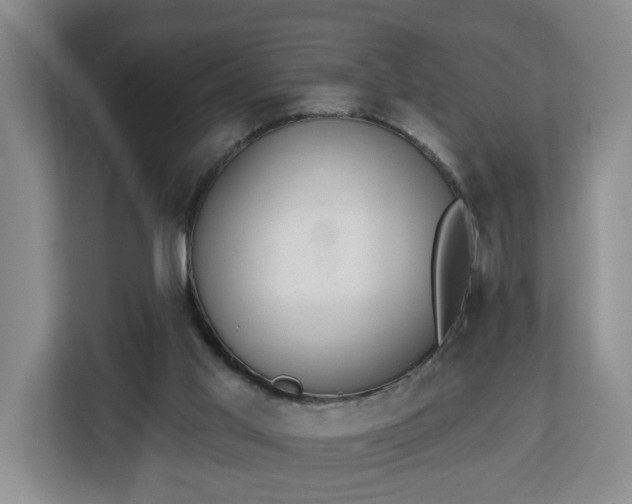 X0000112840013200908281601