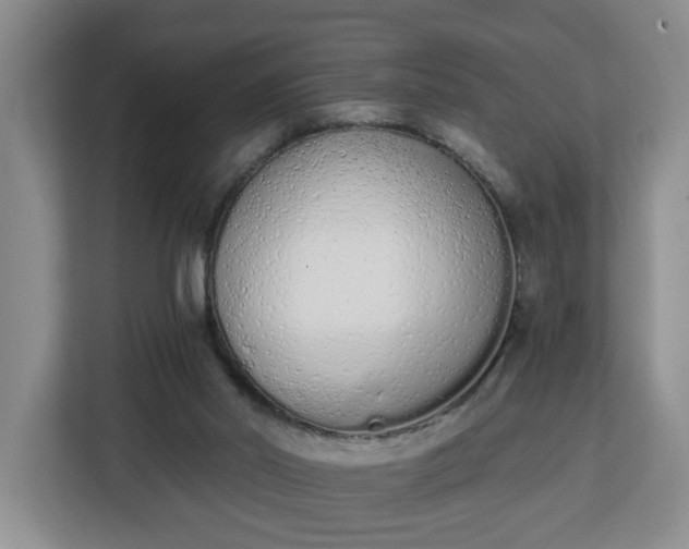 X0000112840014200908281601