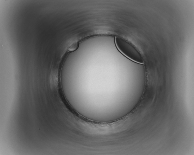 X0000112840015200908281601